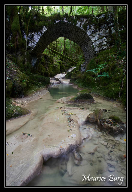 pont