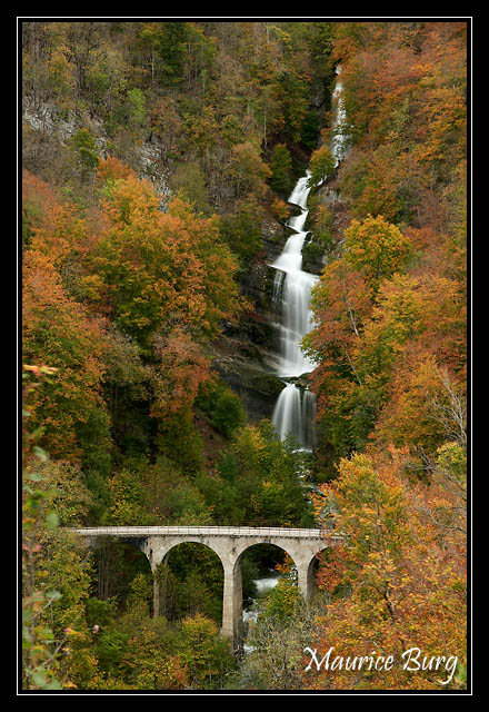 cascade