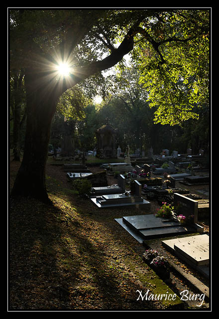 cimetière