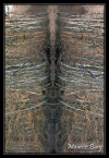 Totem 3