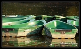Barques vertes