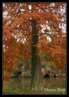 Arbre d'automne