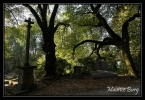 Cimetière du Château de Frontenay