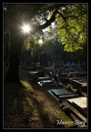Cimetière du Château de Frontenay