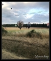 air_ballons_34c