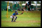 baseball _02
