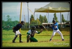 baseball _12