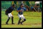 baseball _17