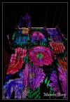 Cathédrale de Strasbourg
