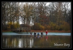 Pêche d'étang_05