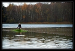 Pêche d'étang_11