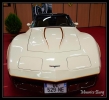 Chevrolet Corvette C3  1981