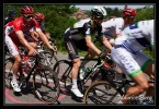 Dans le peloton