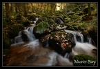 Ruisseau de la Serva