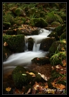Ruisseau de la Serva