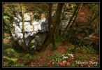 Canyon d'Amondans