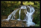 Bief de Caille (Ronchaux)