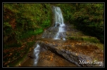 Le ruisseau du Défois