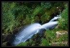Source du Dessoubre