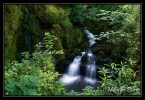 Source du Dessoubre