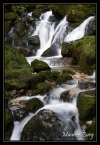 _PAY3108 copie
