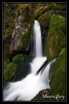 _PAY3125 copie