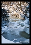 le_herisson_02