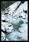 le_herisson_03