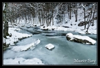le_herisson_06