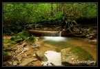 Cascades du ruisseau de Malans