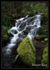 Ruisseau du Moulinot