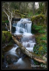Ruisseau du Moulinot
