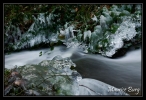 Ruisseau du Moulinot