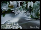 Ruisseau du Moulinot