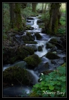 Ruisseau du Moulinot