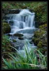 Ruisseau du Moulinot