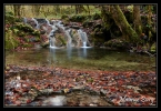 Le ruisseau de Norvaux, le moulin aval