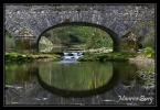 La Seille, le vieux pont (XIIIème s.)