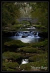 La Seille