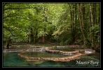Nassis (vers la petite source)