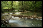 Nassis (vers la petite source)