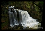 Cascade du Verneau