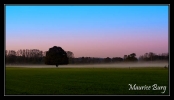 Les trois couleurs