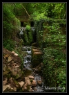 Source de la Foulatière