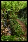 Source de la Foulatière