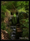 Source de la Foulatière