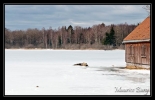 Lac de l'Abbaye en Grandvaux