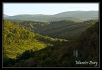 Lizine