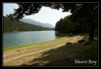 16_lac_engolasters