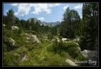 31_lac_pessons